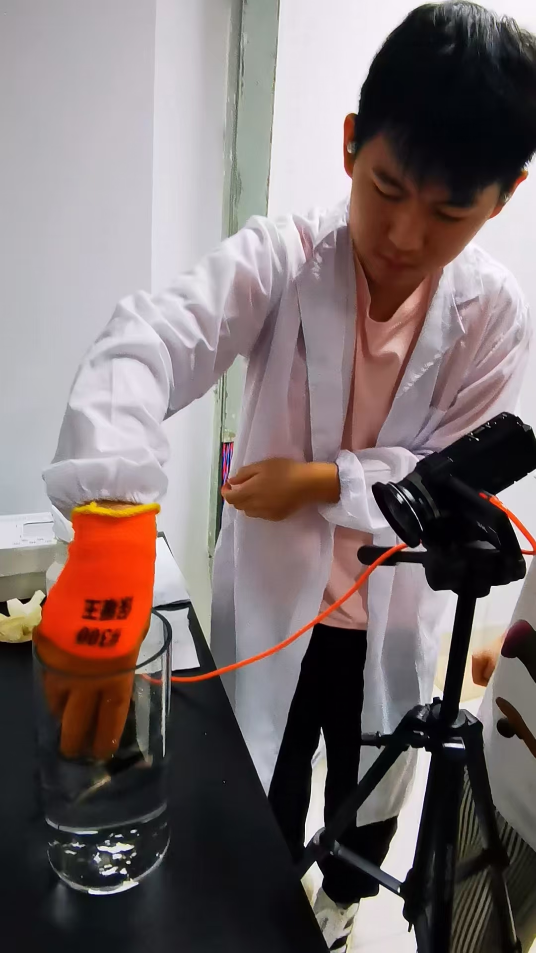 Behavioral biology laboratory workflow